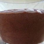 Displasia Coxofemoral na Flora – A Cirurgia